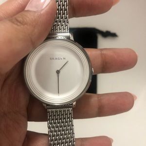 Skagen Ditte Steel Mesh Watch